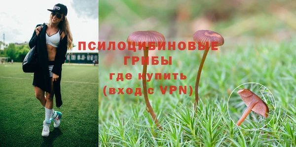 гидропоника Армянск