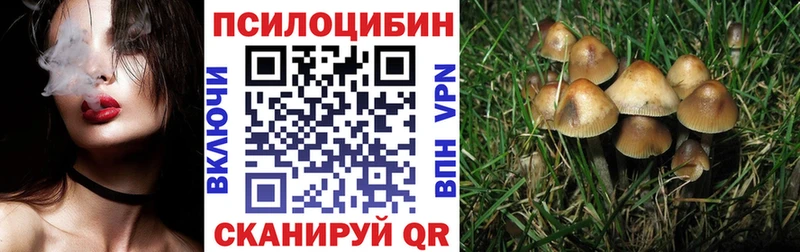 хочу наркоту  Россошь  Галлюциногенные грибы прущие грибы 